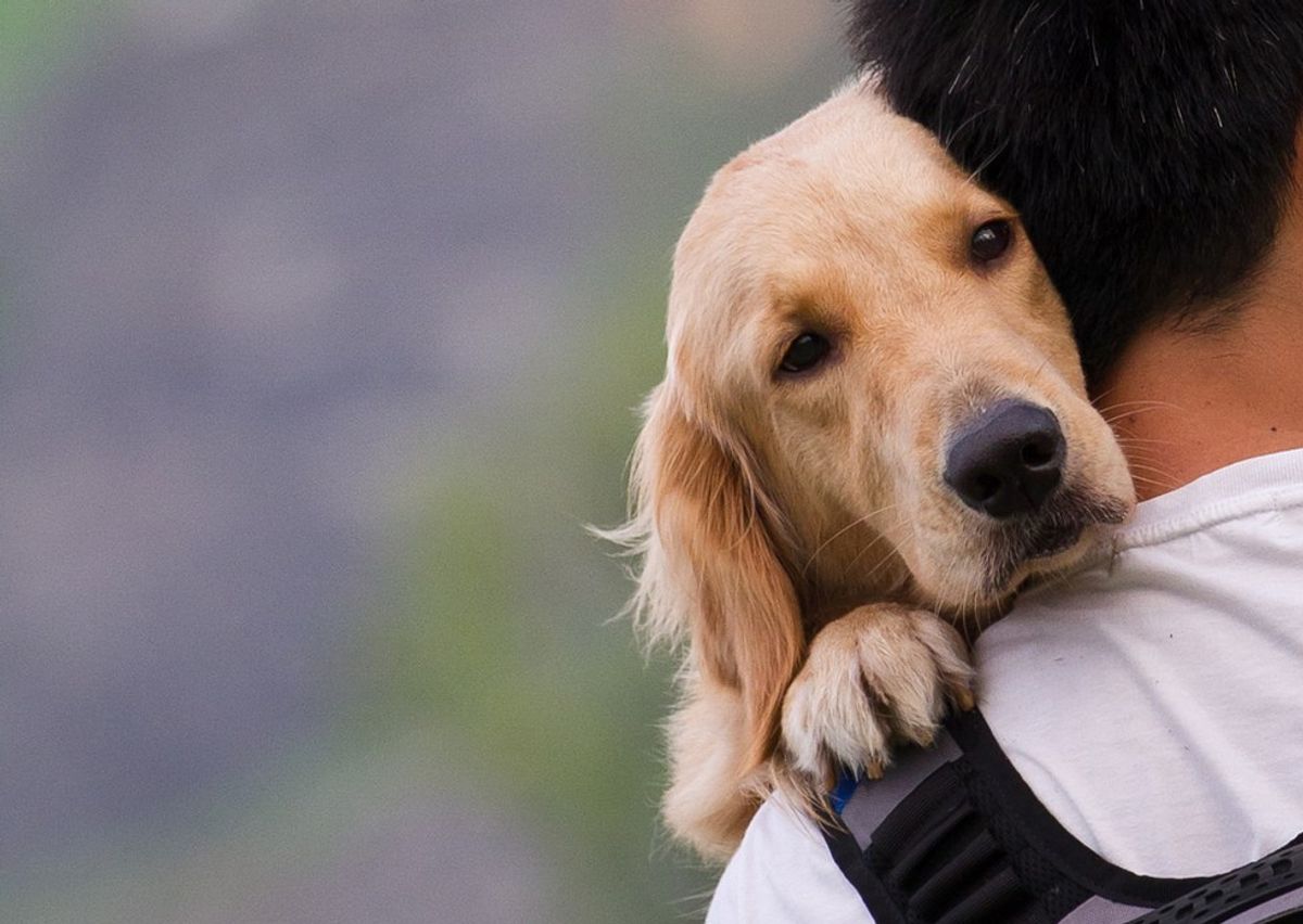 12 Things You Do If You Think Your Dog Is Cute