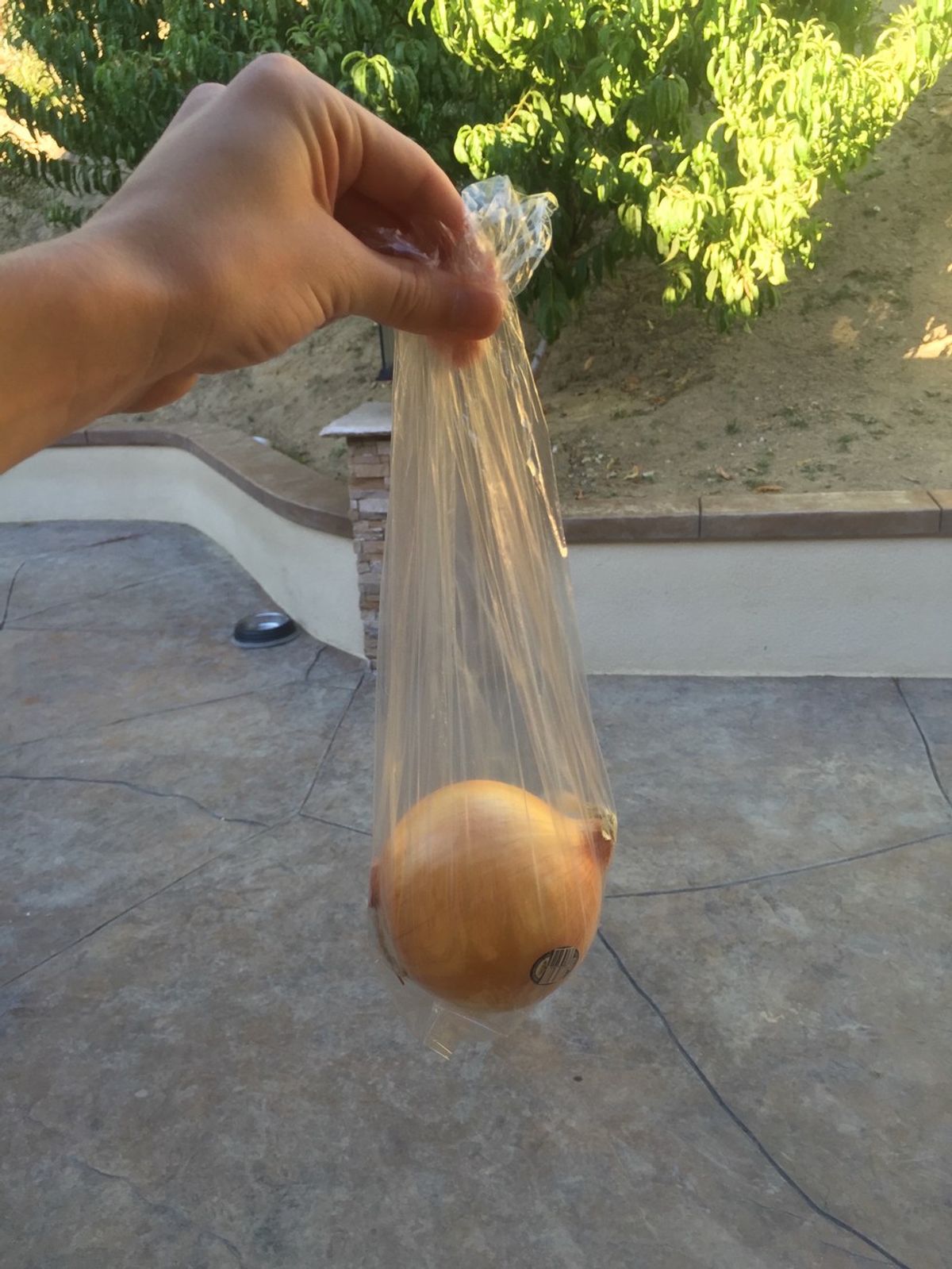 Who Knew You Could Be Allergic To Onions?