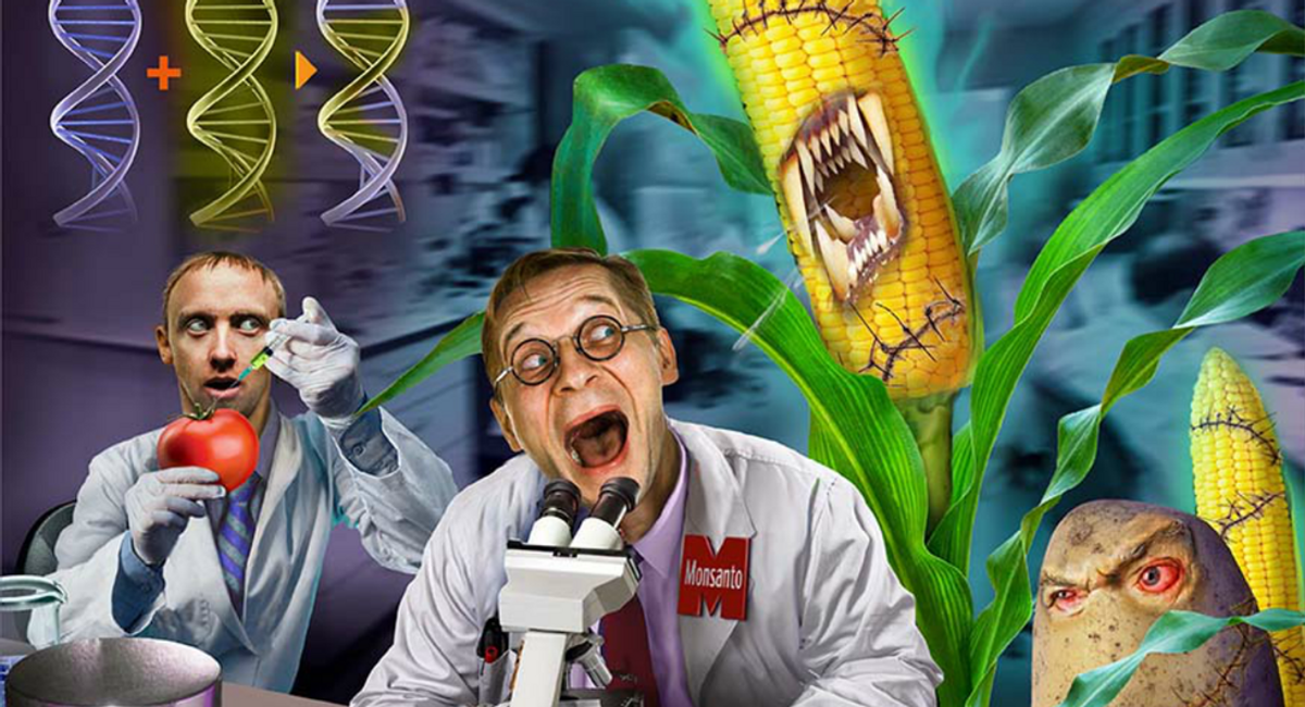 The Real Problem with Monsanto