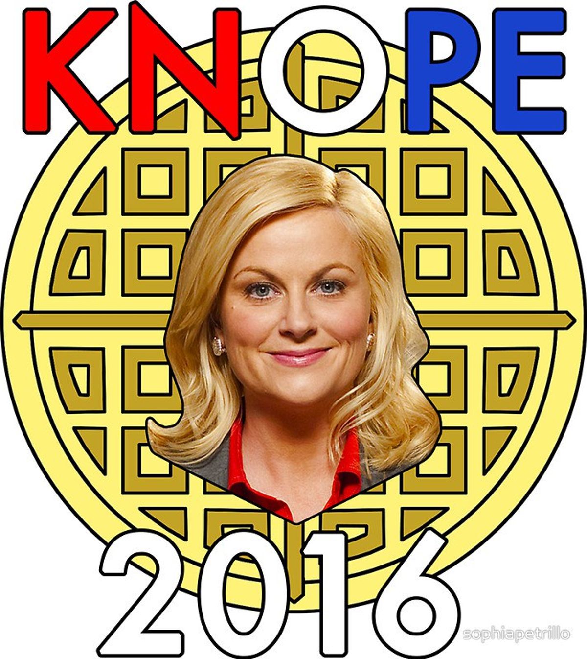 5 Ways The 2016 Election Is Just Like Knope vs. Newport 2012