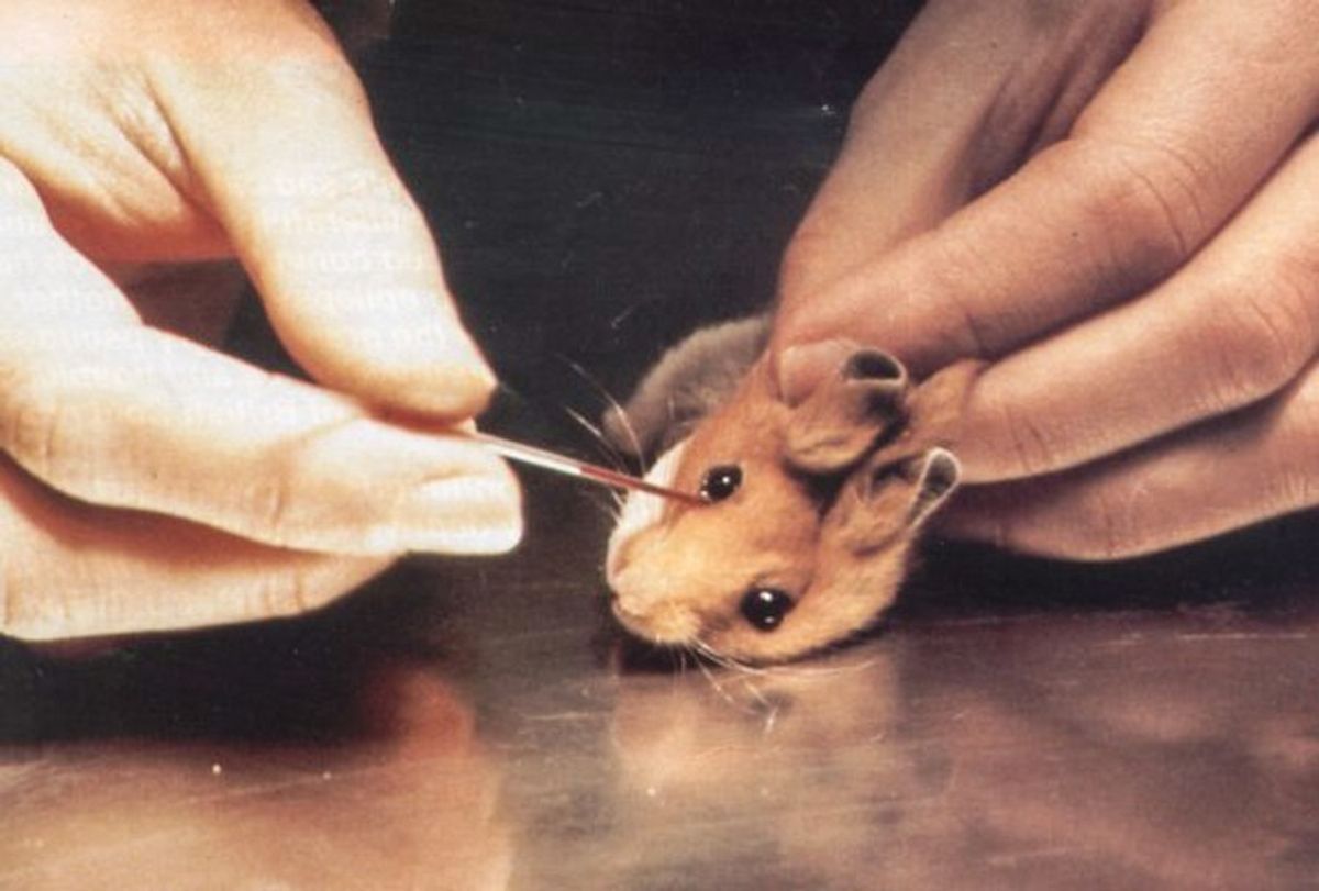 10 Surprising Brands That Still Use Animal Testing