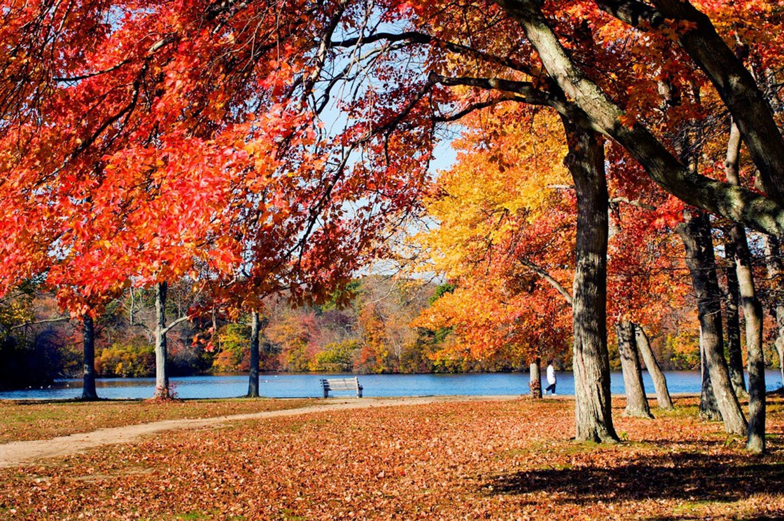 10 Activities To Add To Your Long Island Fall Bucket List