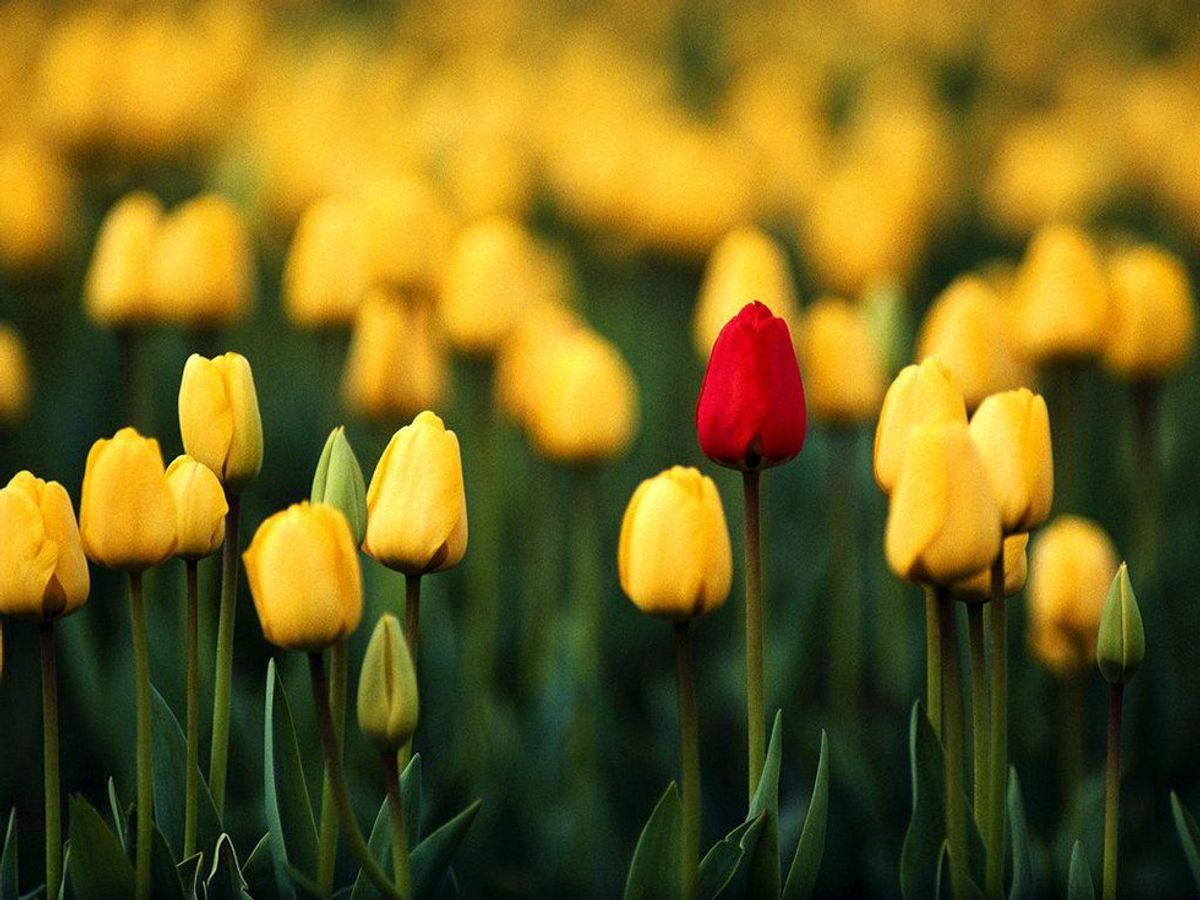 People Are Like Flowers They Can Bloom Beautifully People Are Like Flowers They Can Bloom Beautifully