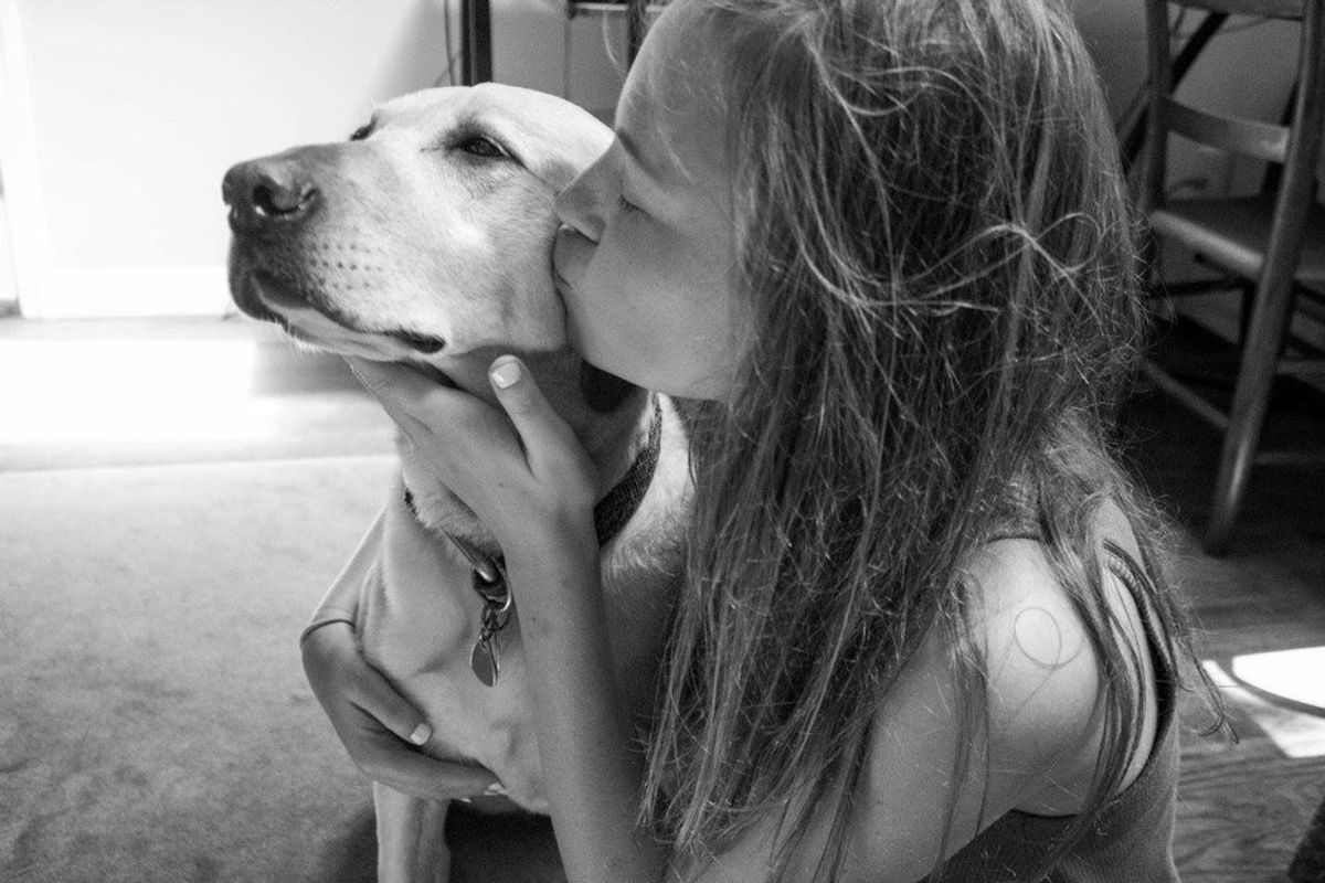 5 Reasons Why It's Ok To Be Obsessed With Dogs