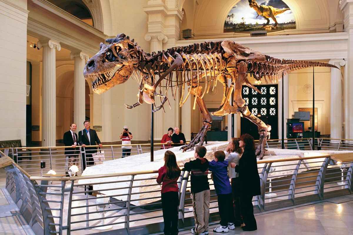 Chicago Museums Offer Free Admission Days This Fall