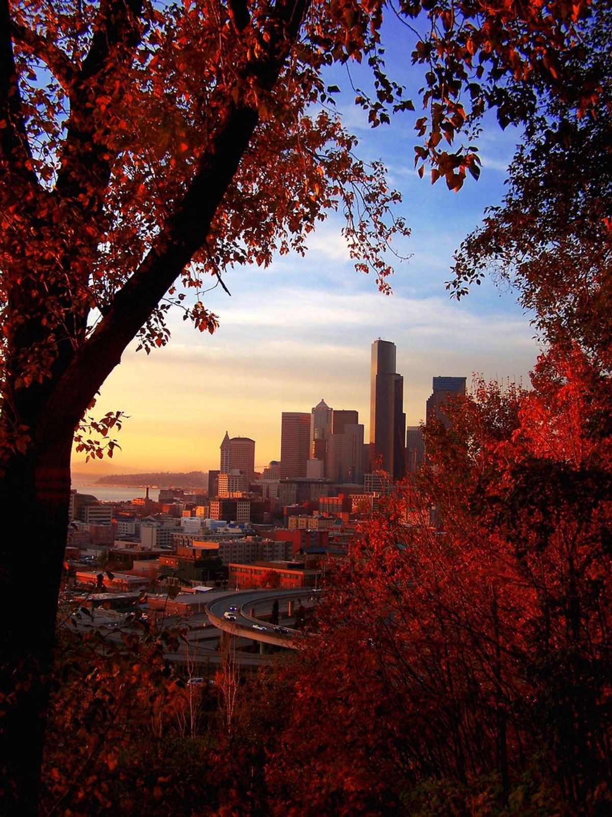 45-bucket-list-ideas-for-the-perfect-seattle-fall-secret-seattle