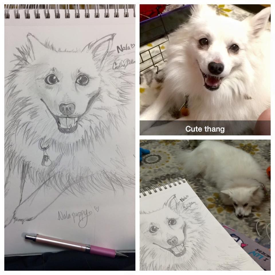 i was a cat in my past life