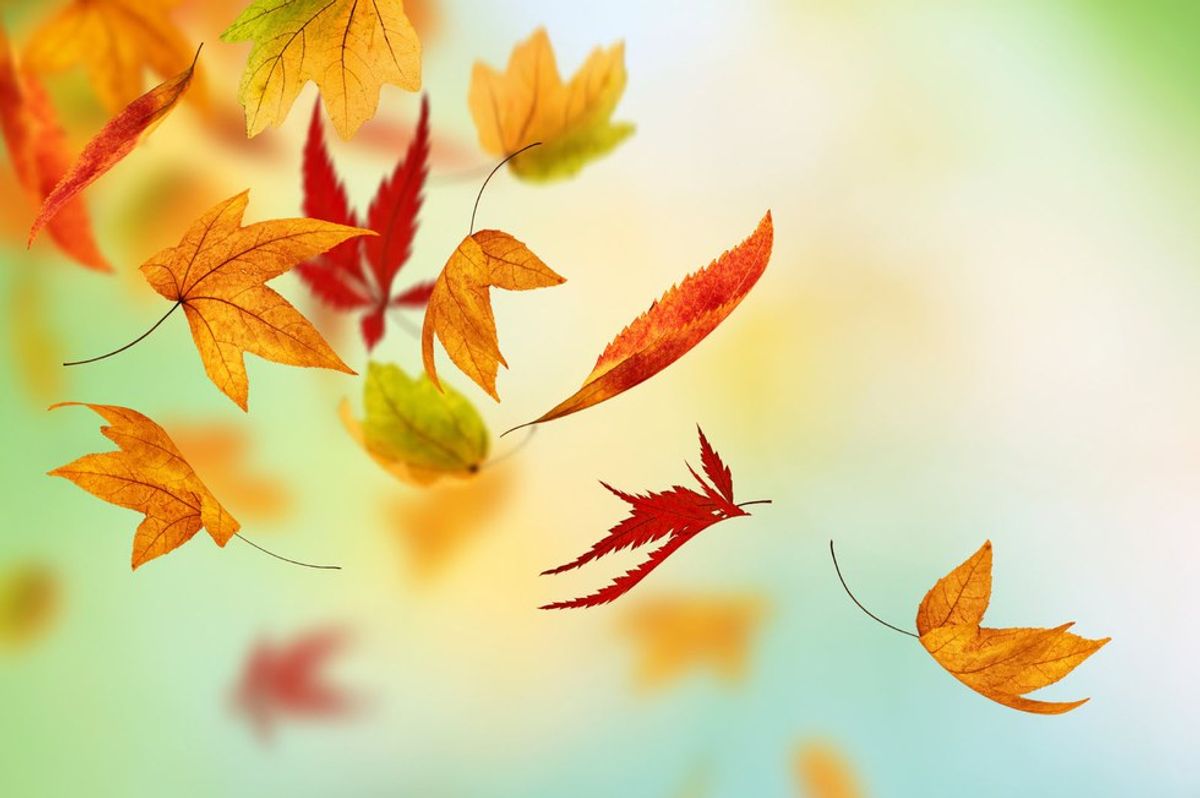11 Reasons Why Fall is the Best