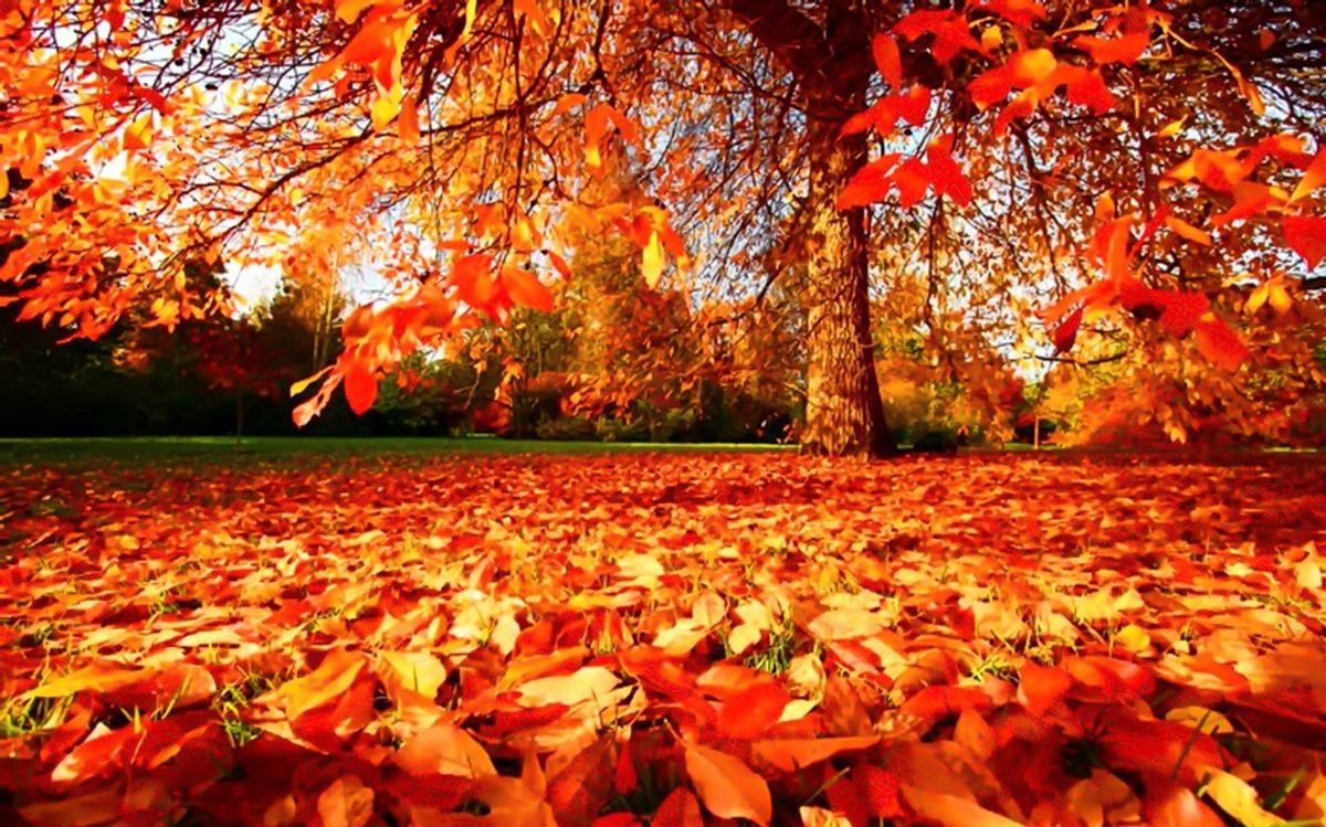 The 10 Best Things About Autumn