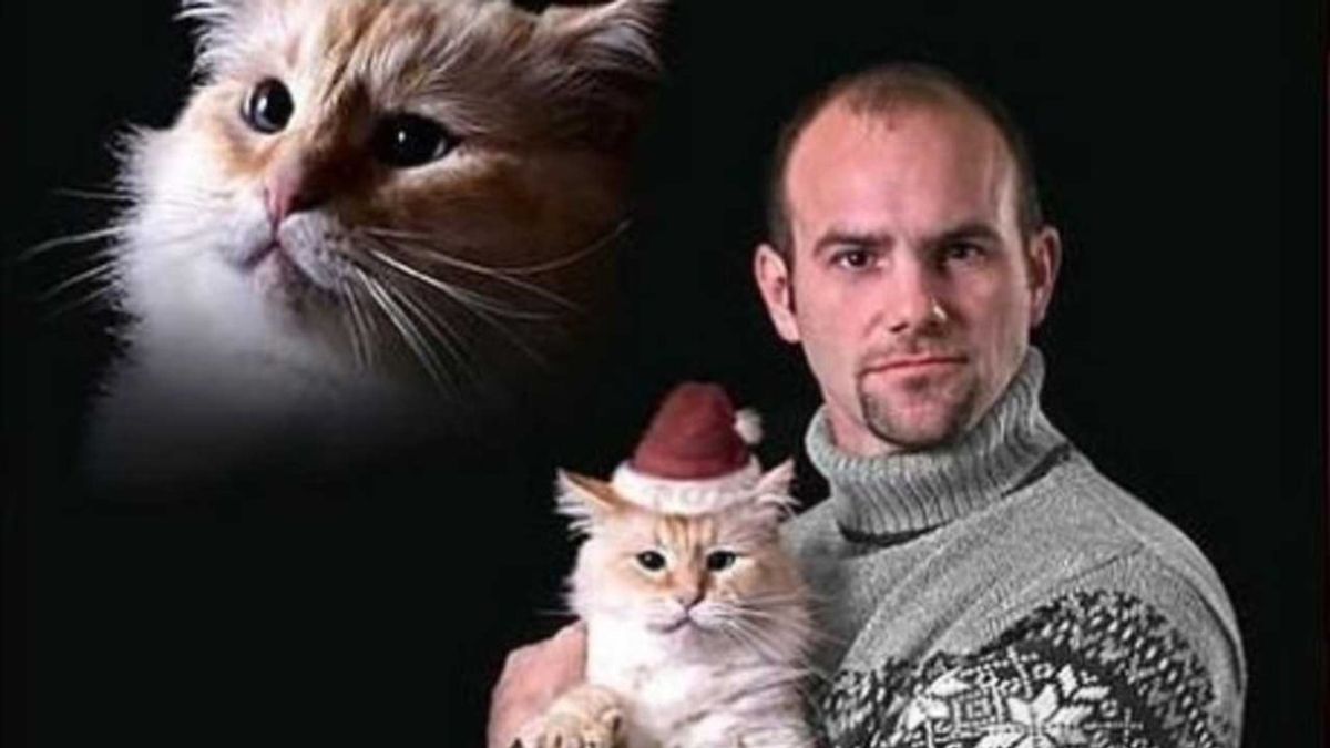 The 13 Stages Of A Cat Person