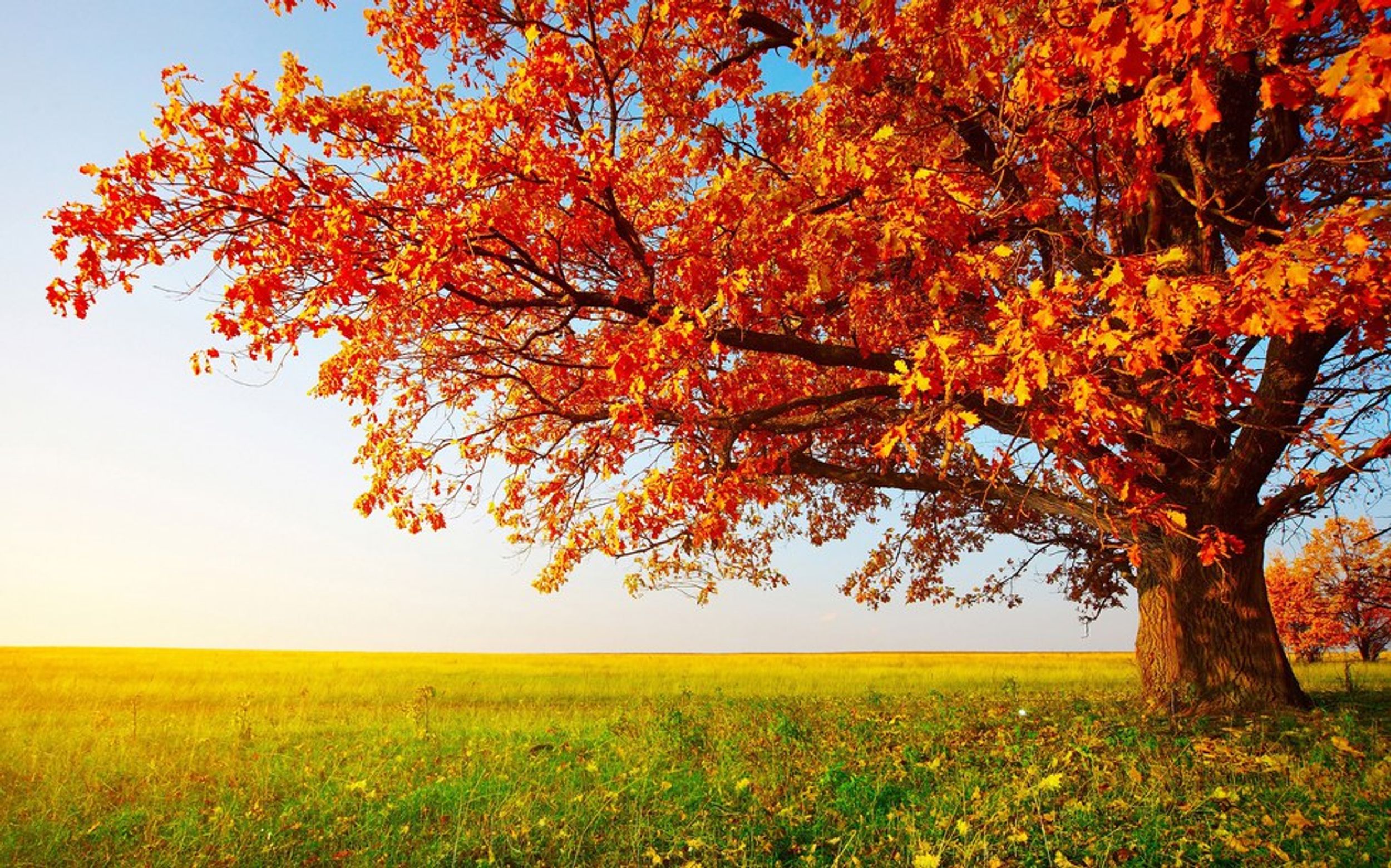 10 Reasons Why Autumn Is The Best Season