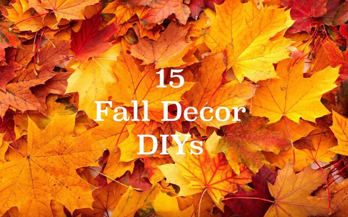 15 Fall Decor DIYs