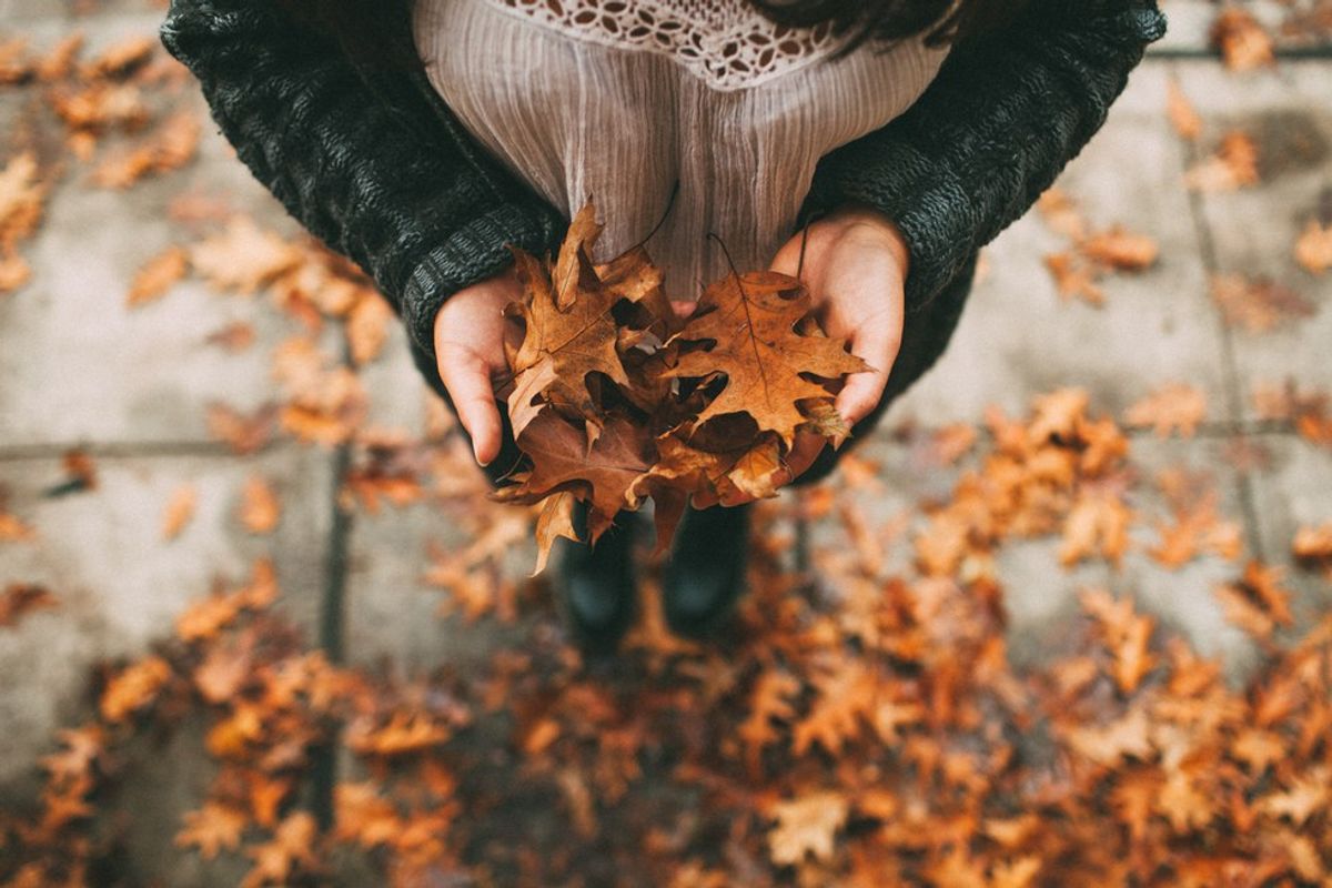 How To Make the Most Of Fall