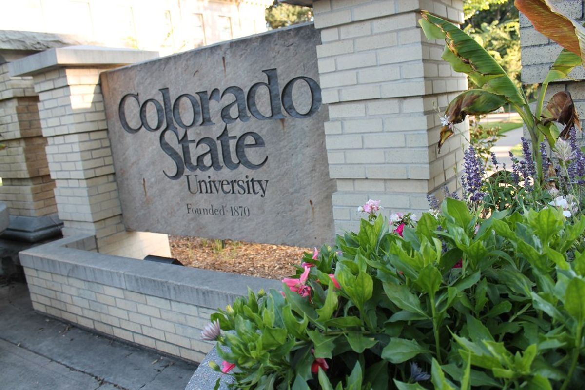 The Best Places to Study at Colorado State University