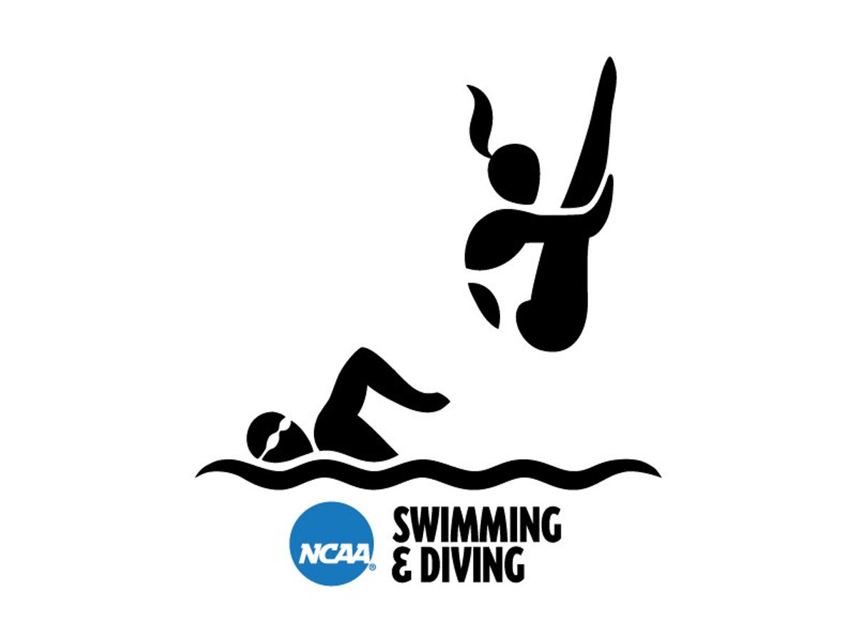 The Difference Between Swimming And Diving