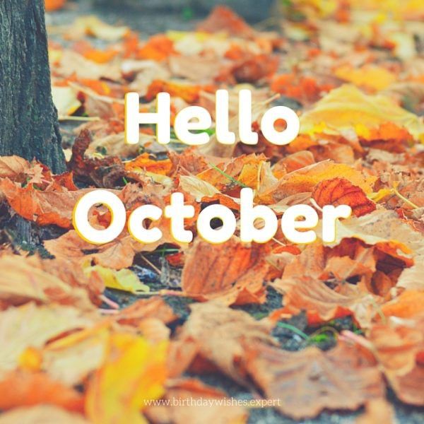 Hello October Xo