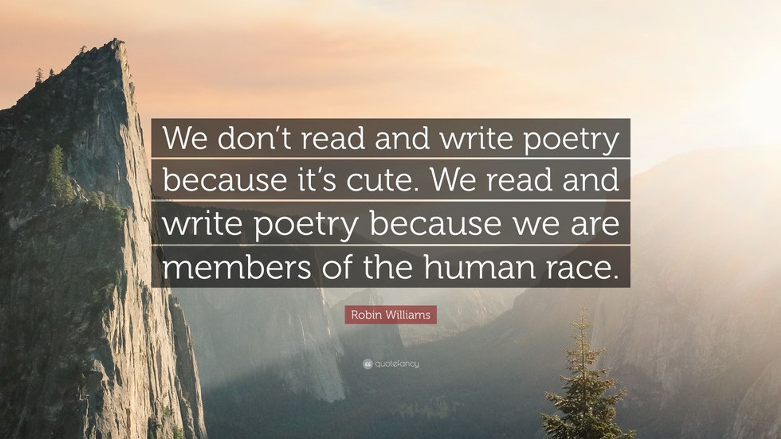 The Importance of Poetry