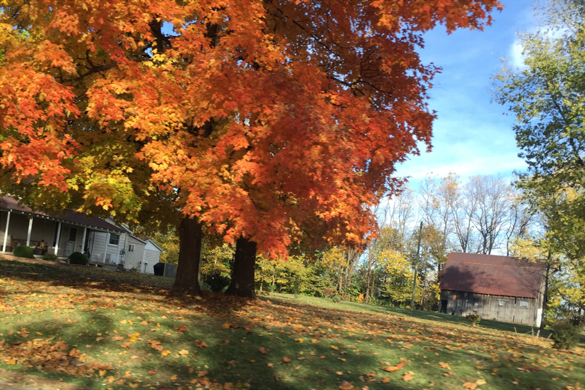 12 Things To Do Over Fall Break
