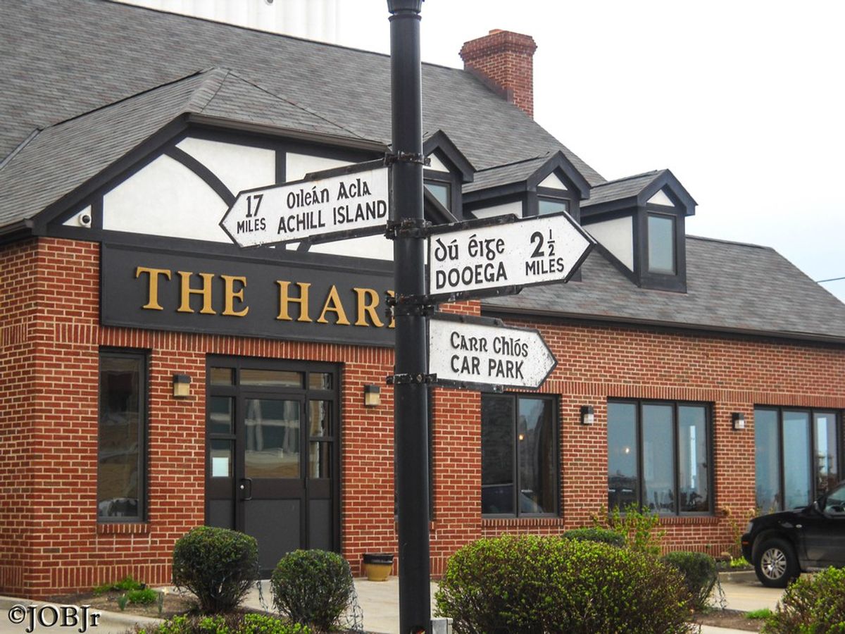 The Harp: Ohio City's Treasure