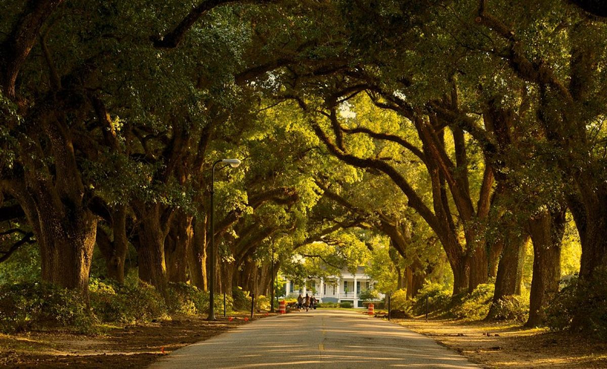 Escape to Florala: A Hidden Gem in Alabama's Heart