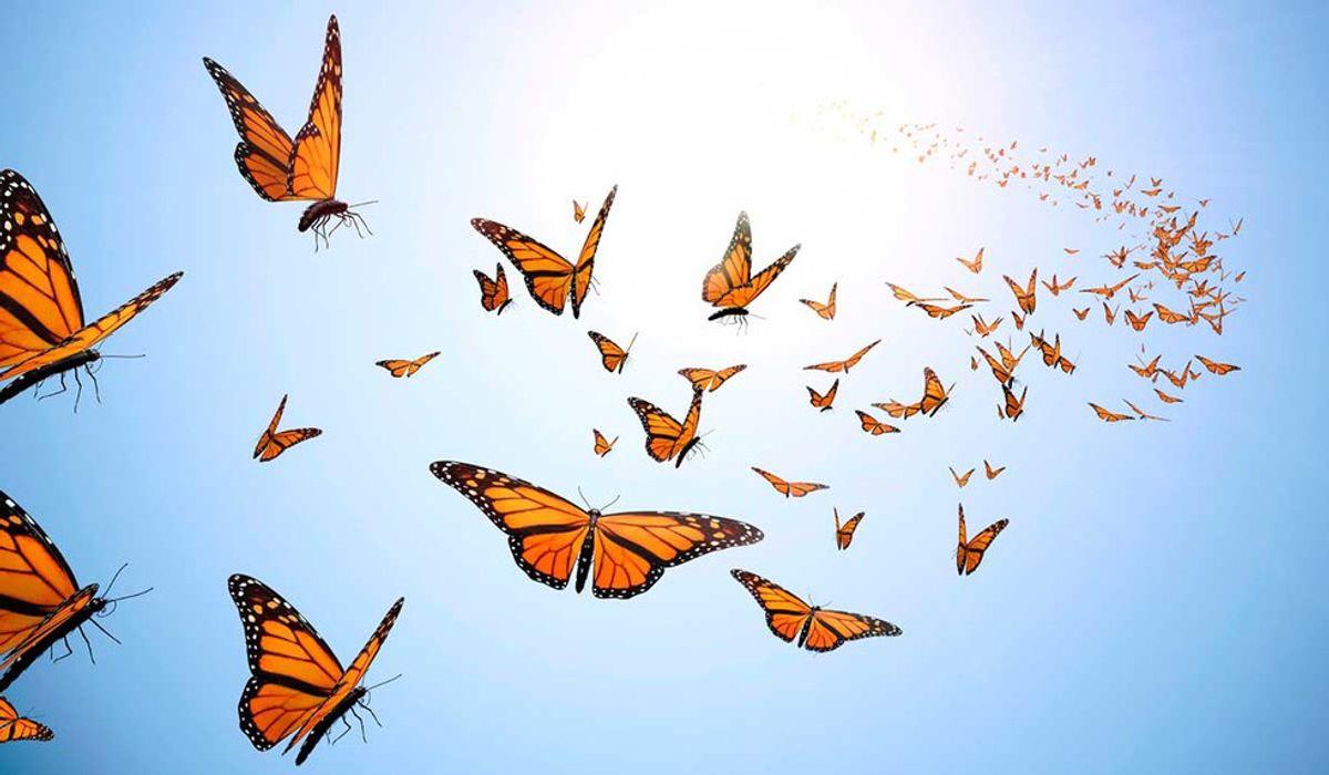 Pros And Cons To Being A Social Butterfly