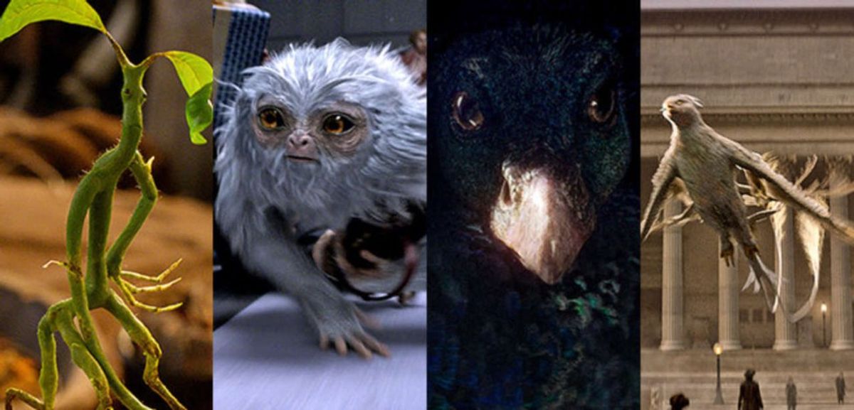 Fantastic Beasts Are Real
