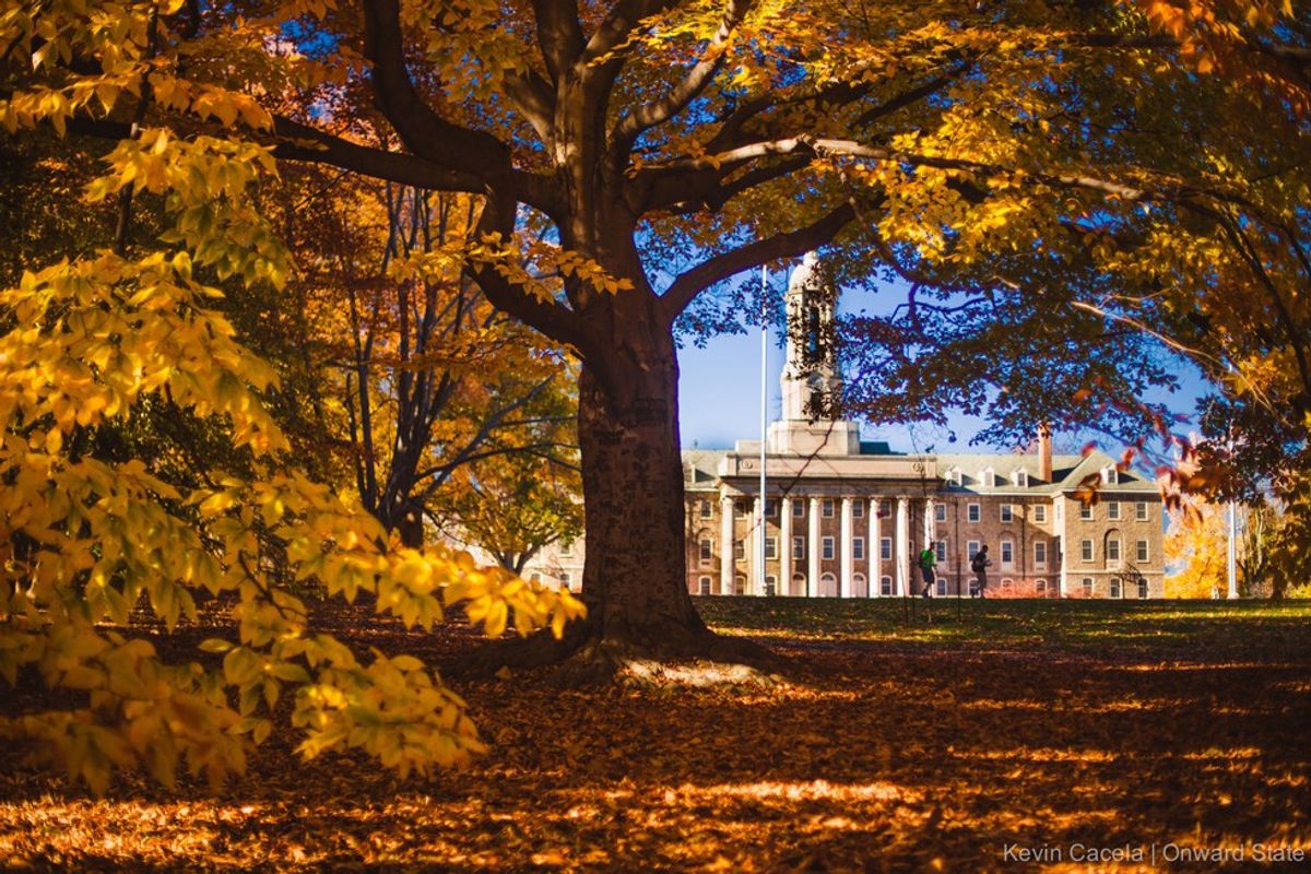 7 Tell-Tale Signs of Fall in State College