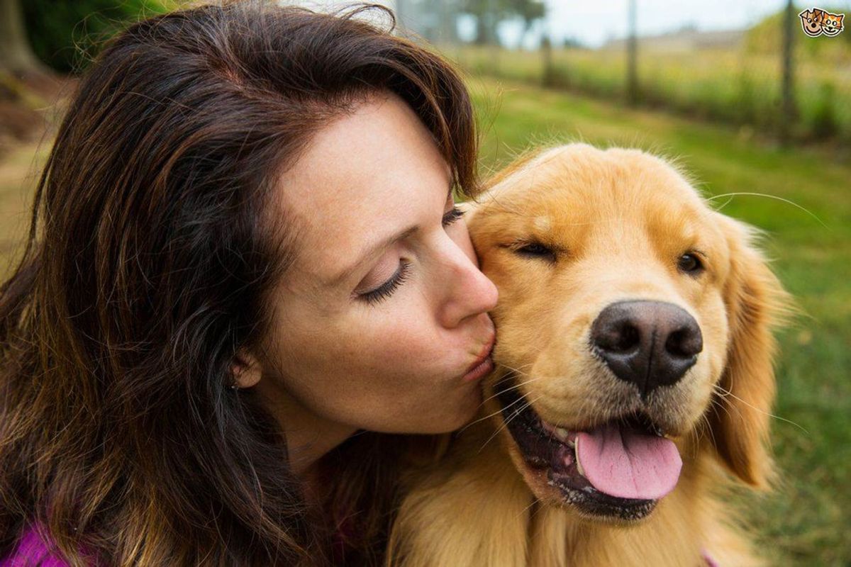 18 Things You Should Thank Your Dog For