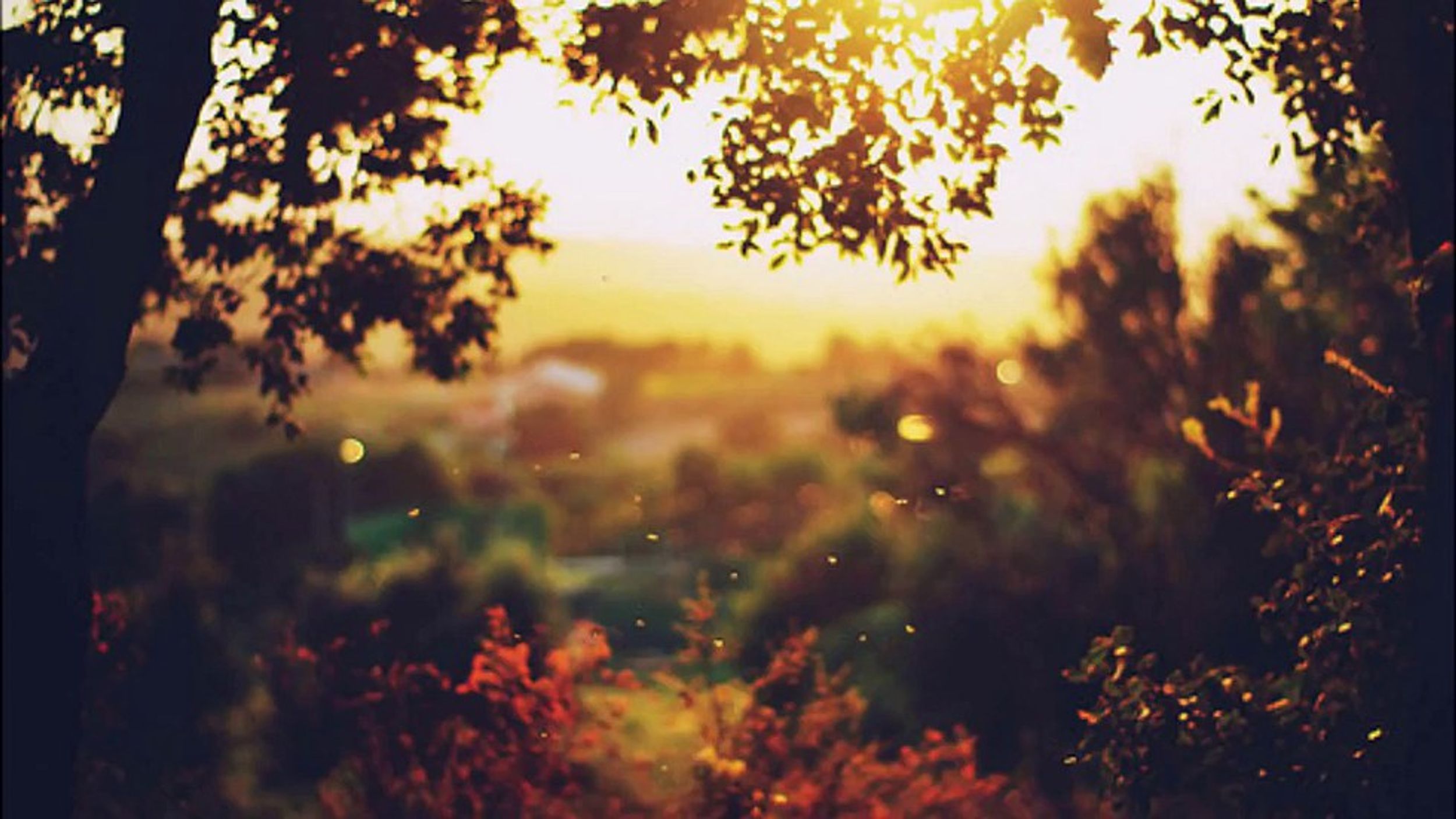 30 Quotes Every College Kid Needs To Hear