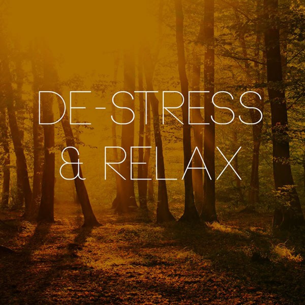 5 All-Natural And Super Easy De-Stressors For Every Overly Stressed Person