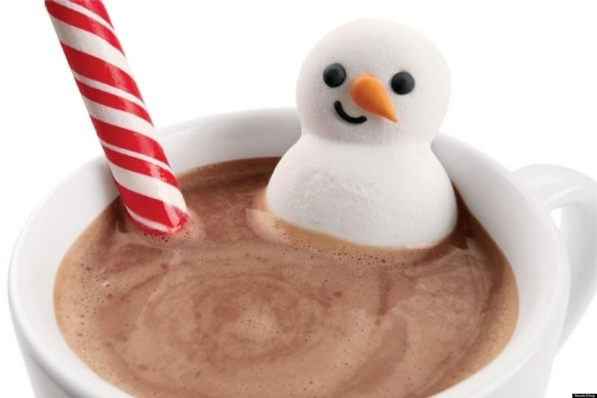 The Difference Between Hot Cocoa And Hot Chocolate