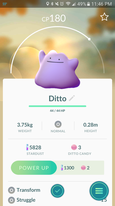 Pokémon of the Week - Ditto