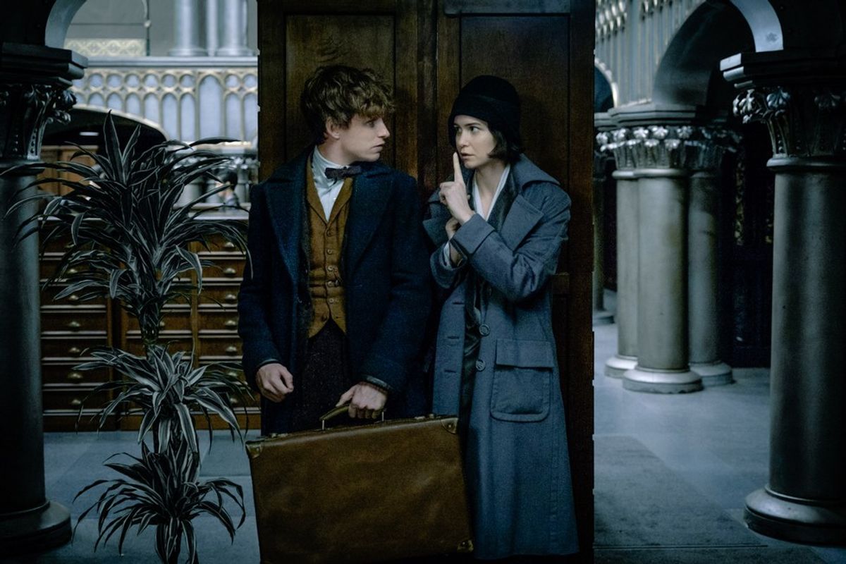 Review: "Fantastic Beasts and Where to Find Them"