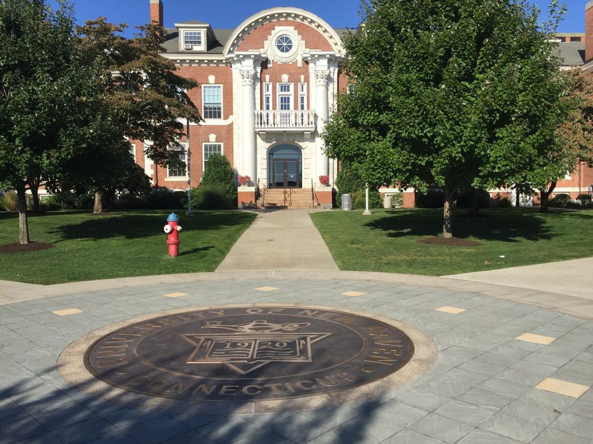 Why I Chose the University of New Haven