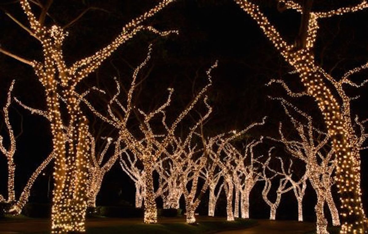 Dorothy B Oven Park Christmas Lights 2022 Hours Best Places To Look At Christmas Lights In Tallahassee