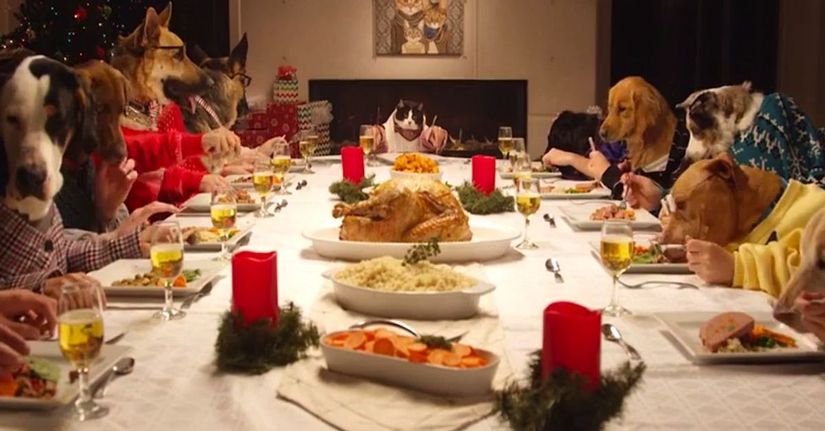 Five Things Your Dog Needs to Survive This Holiday Season