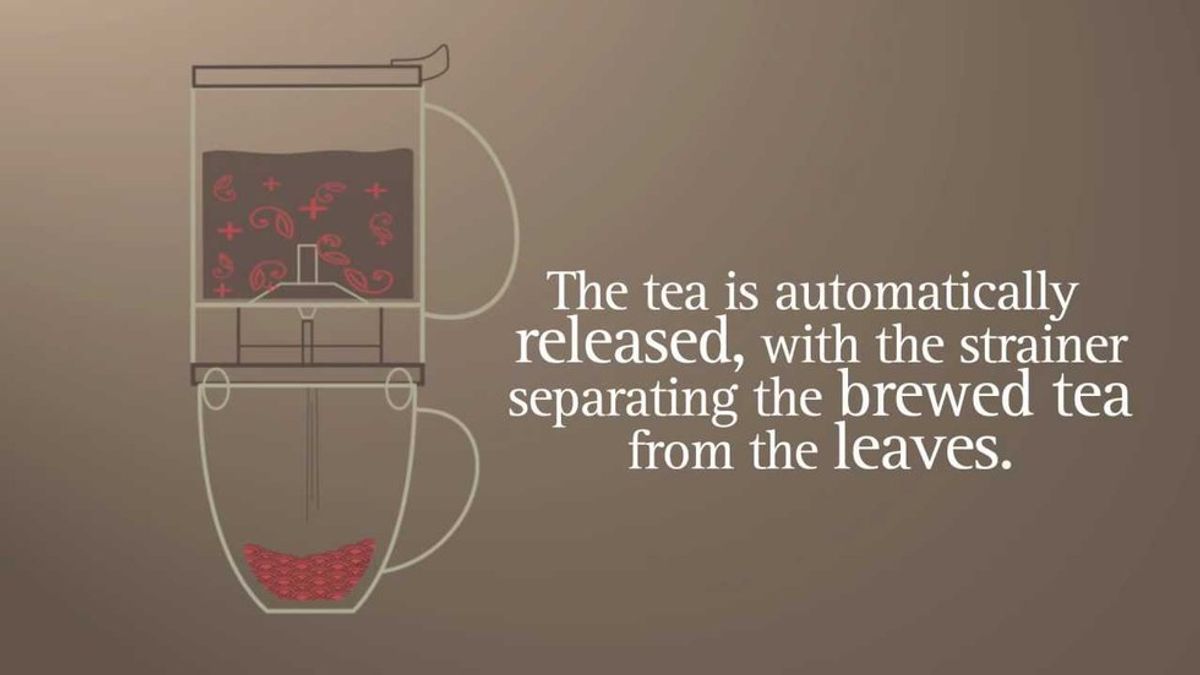 Review Of Teavana Perfect Tea Maker