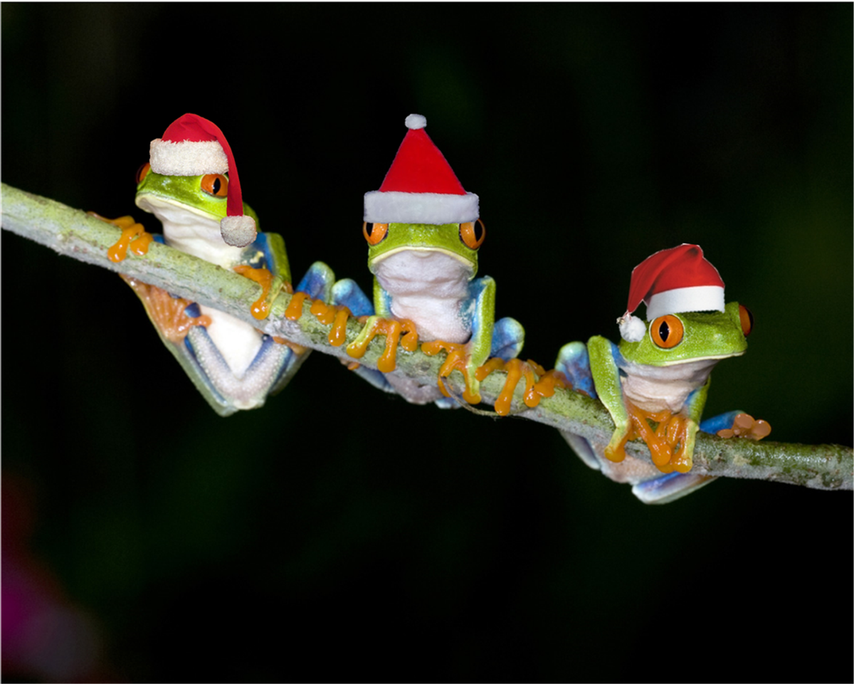 5 Reasons Why Christmas Is Actually The Worst Holiday Ever