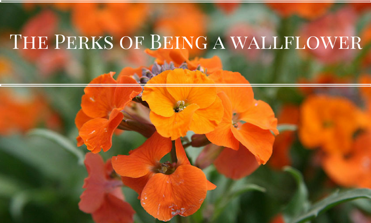 Living Life as a Wallflower