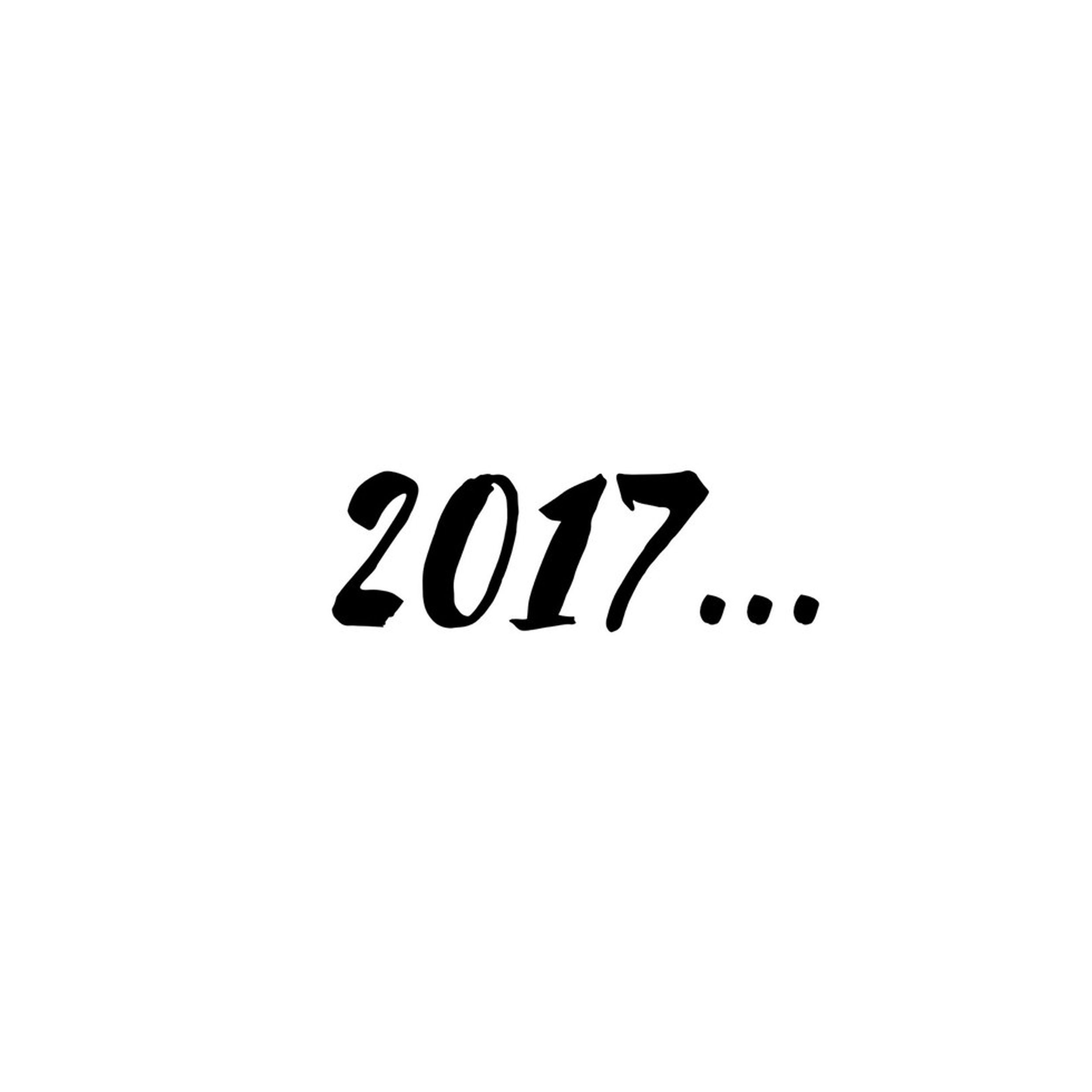 17 Resolutions For 2017