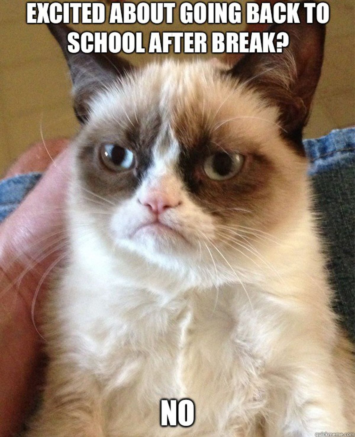 25 Thoughts You Have When Returning To School After Break 25 Thoughts You Have When Returning To School After Break