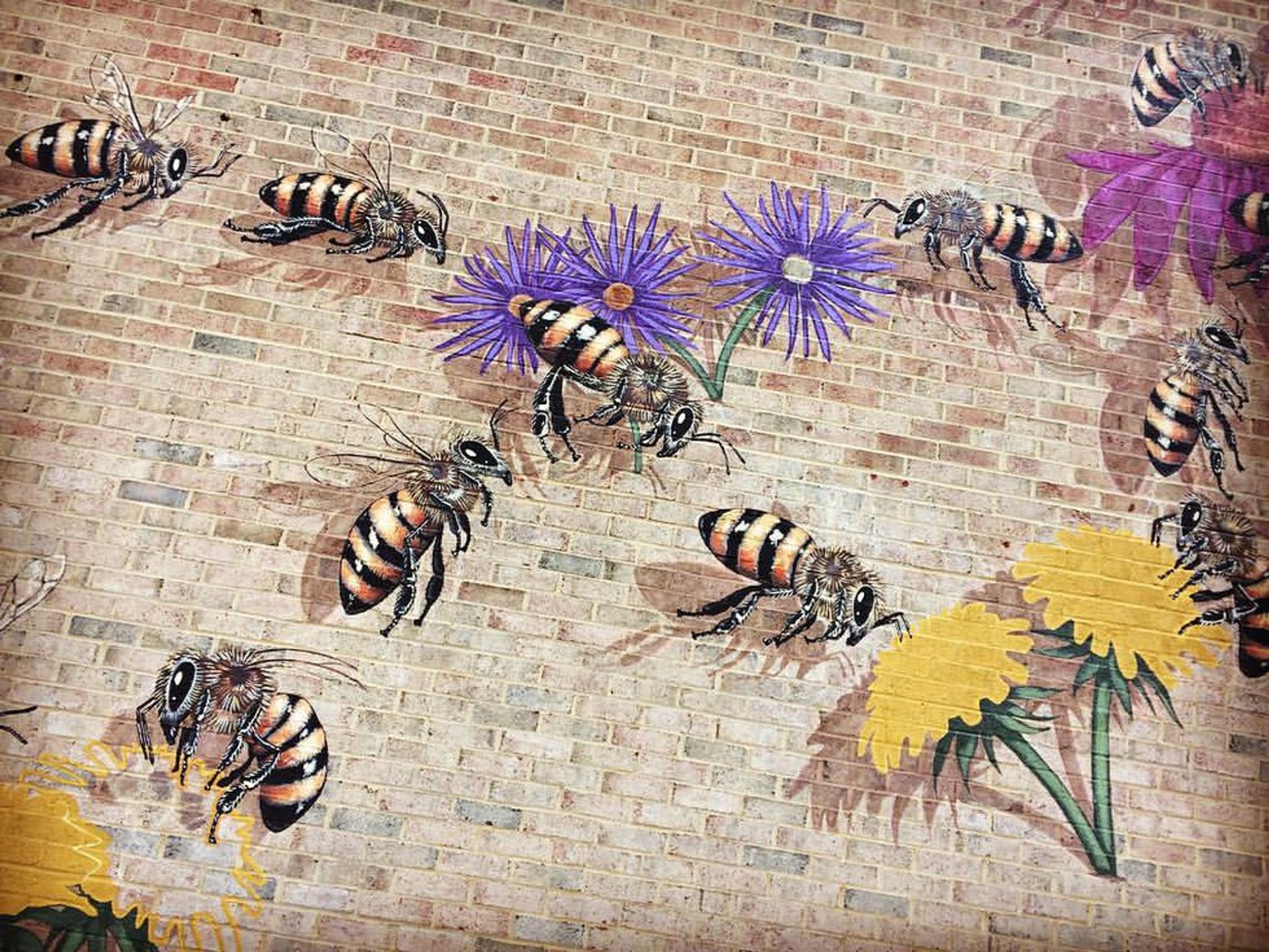 One Artist's Quest To Save The Honeybee, One Painting At A Time