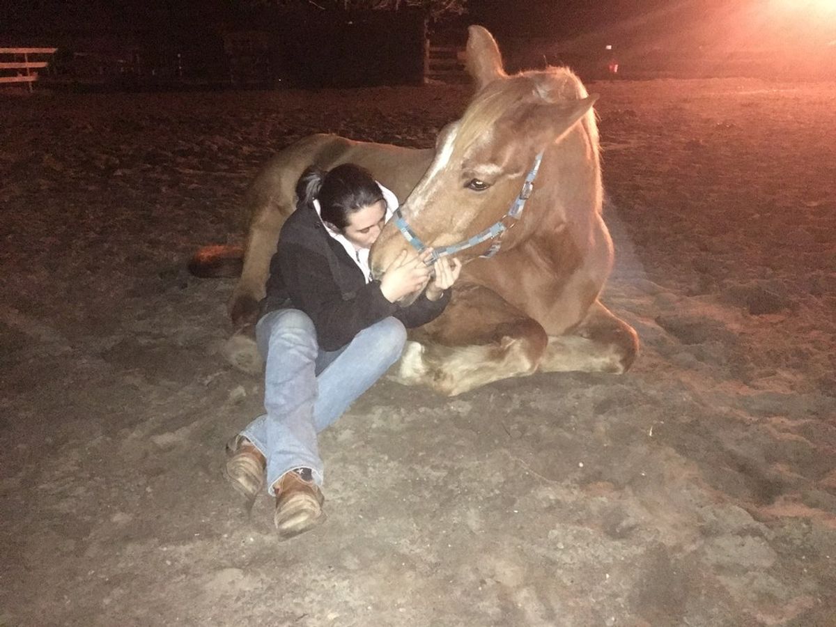 When You Give A Horse A Girl