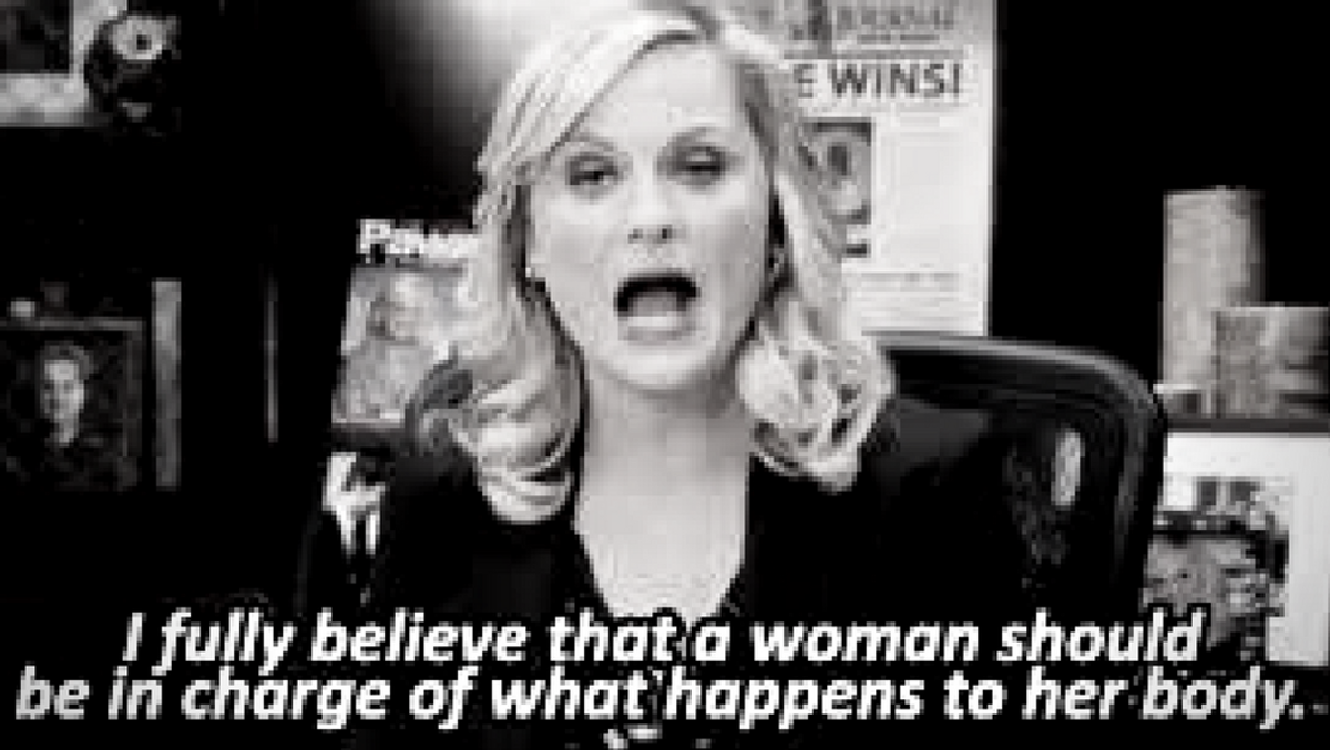 Feminism Explained By Leslie Knope