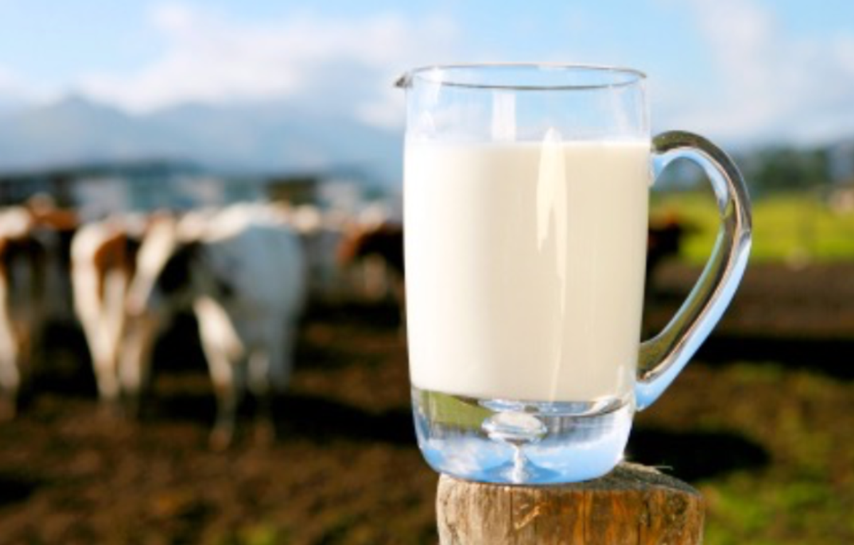 Why The Dairy Pride Act Is So Important