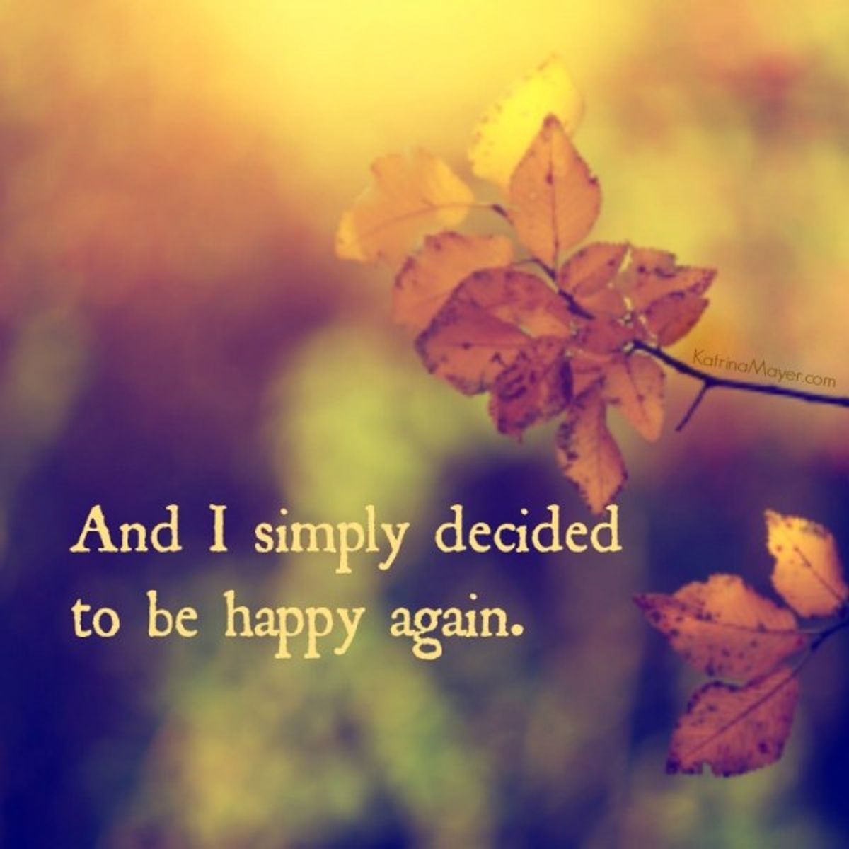 12 Funny Quotes For A Bad Day 12 Funny Quotes For A Bad Day
