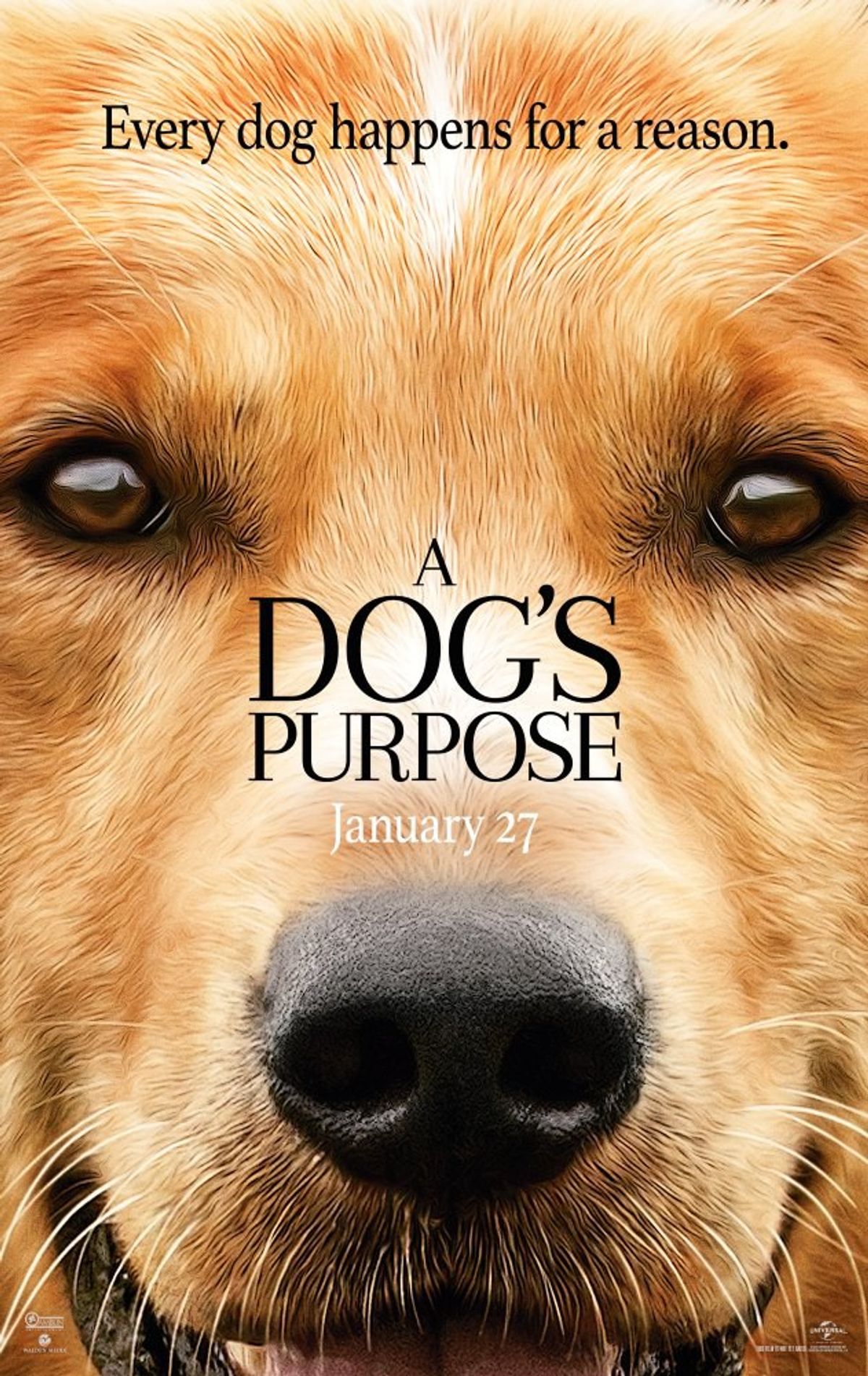 A Dog's Purpose: 7 Differences Between the Movie and the Book