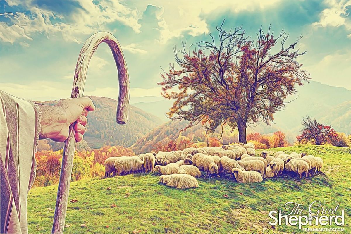 Dear Great Shepherd