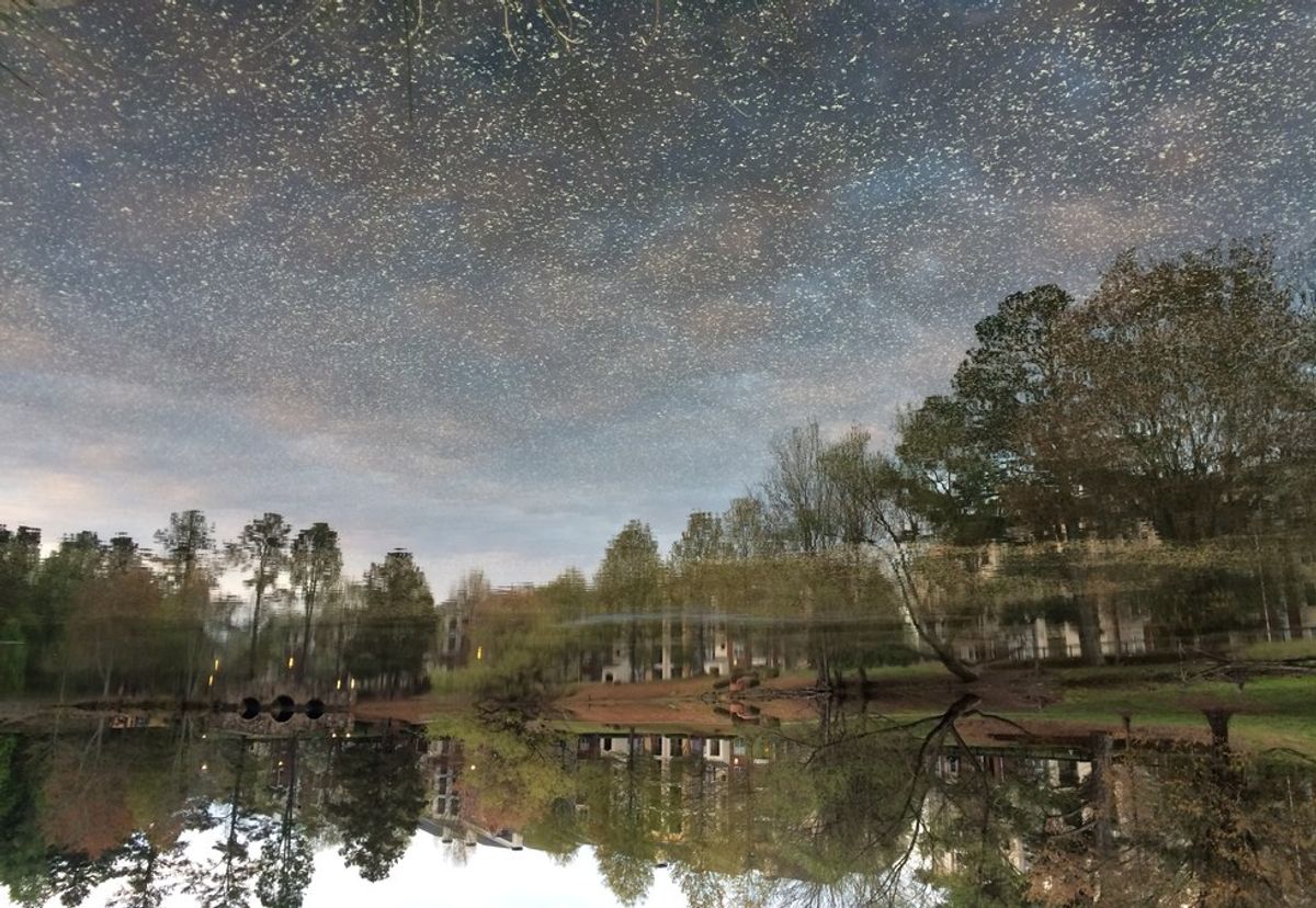 7 Best Nature Spots In The Johns Creek Area