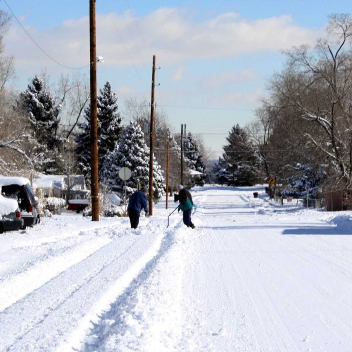 5 Ways To Have The Best Snow Day Ever